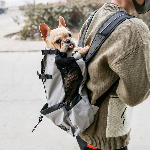 double-shoulder-portable-pet-dog-carrier-backpack-travel-in-style-with-your-furry-friend-390543.jpg