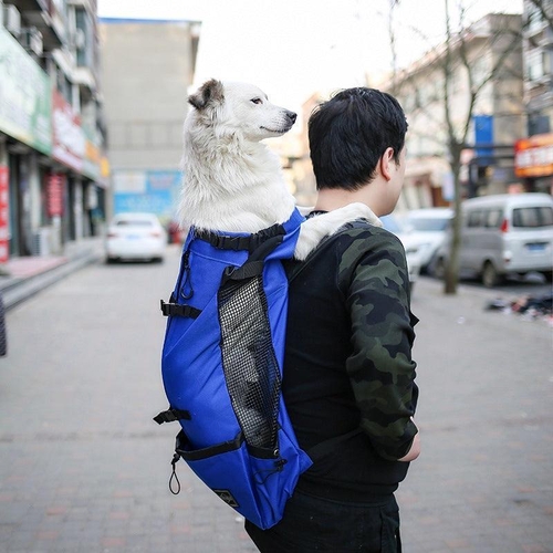 double-shoulder-portable-pet-dog-carrier-backpack-travel-in-style-with-your-furry-friend-566499.jpg