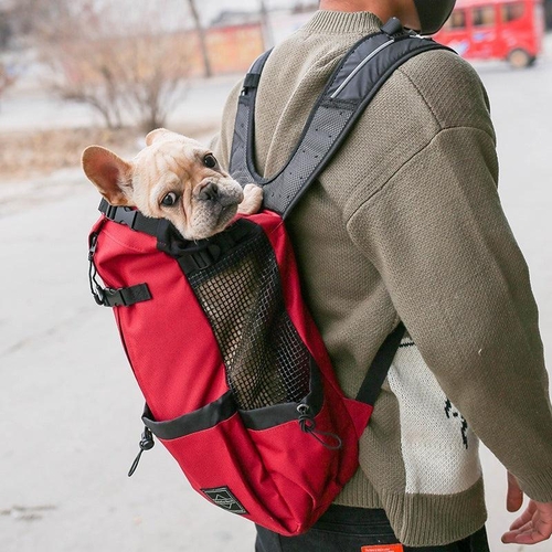 double-shoulder-portable-pet-dog-carrier-backpack-travel-in-style-with-your-furry-friend-897384.jpg
